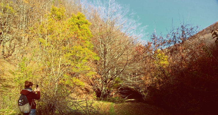 autumn_outdoor_11